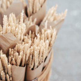 bouquet of dried wheat sprigs in bucket on road