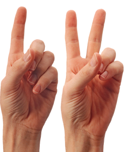 hand-4594071_1920
